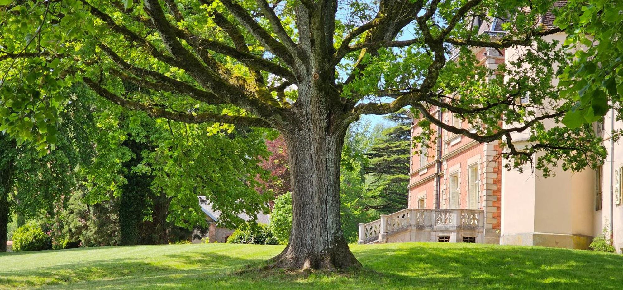 Chateau De Montpatey Couches Exterior foto